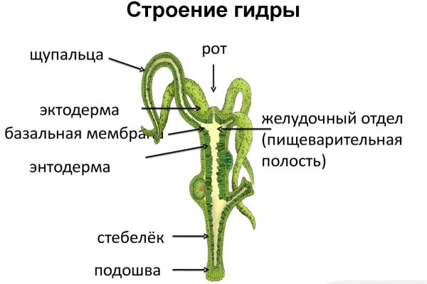 Наркоплощадки кракен