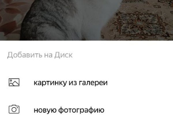 Кракен сайт официальный onion