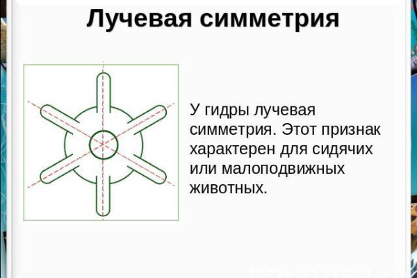 Кракен зеркало орион