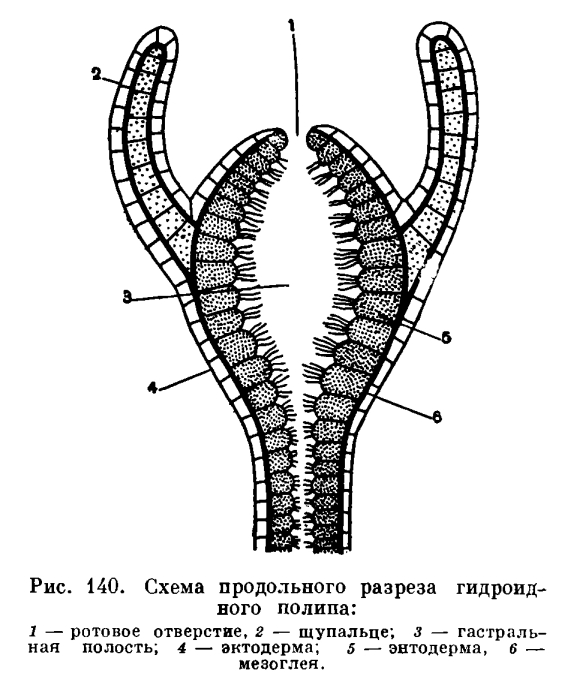 Зеркала сайта кракен tor