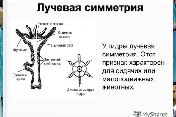 Кракен маркетплейс почему не закроют